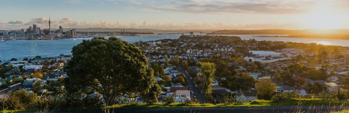 Vine Electrical Ltd — Electricians in Auckland