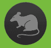 Direct Pest Control
