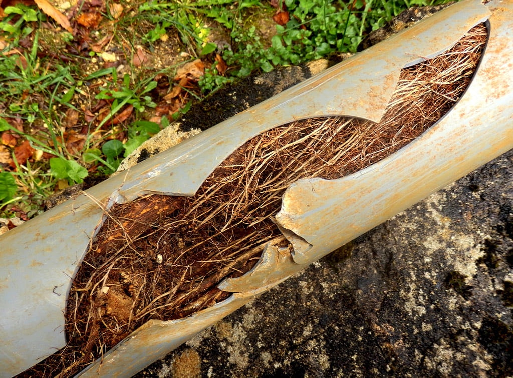 Discount Drainage — Plumbers in Christchurch