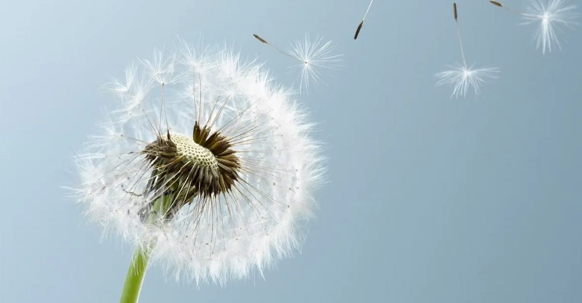 Sambur Massage Therapy — Massage Therapists in Whangamatā