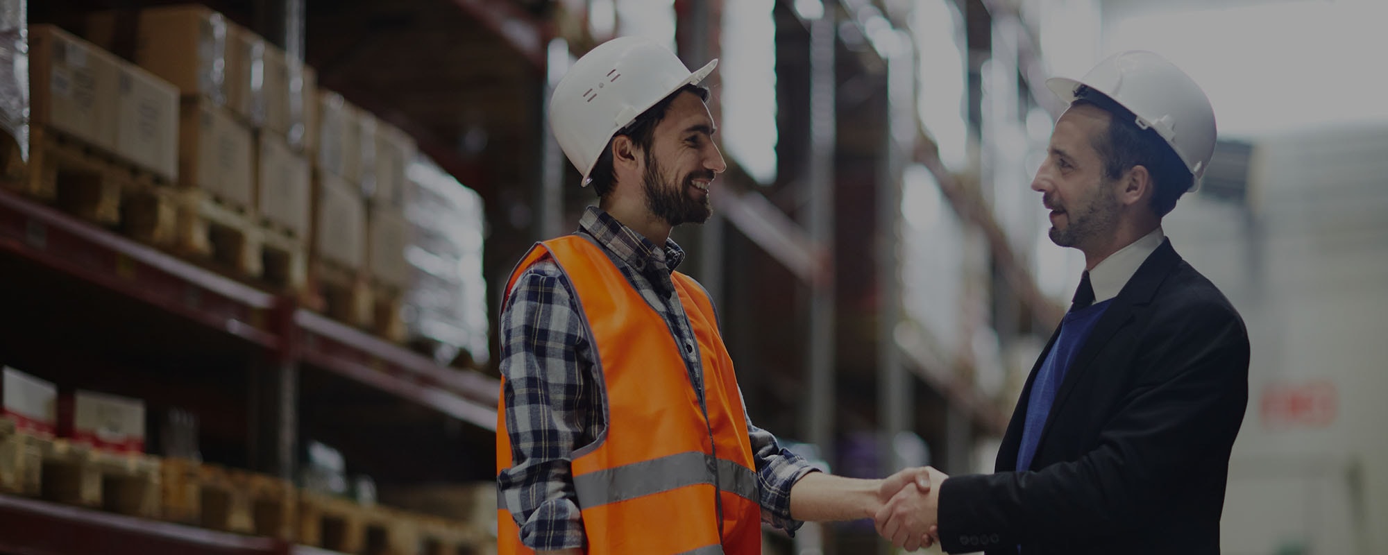 Stay Legal — Immigration Consultants in Tauranga