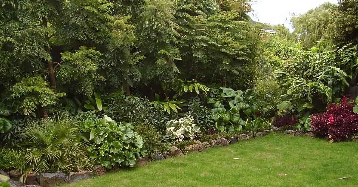 Garden Transformations — Landscaping Services in Auckland