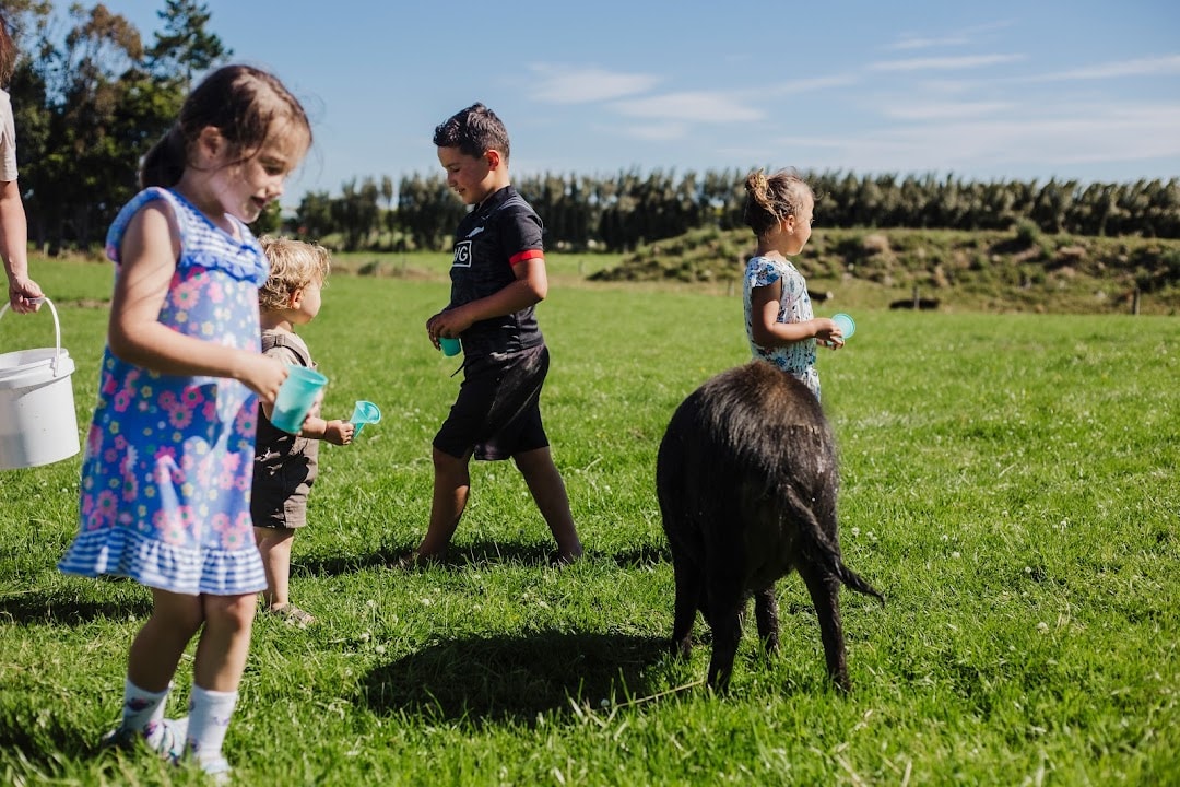 Paradise for Kids — Childcare Centres in Invercargill