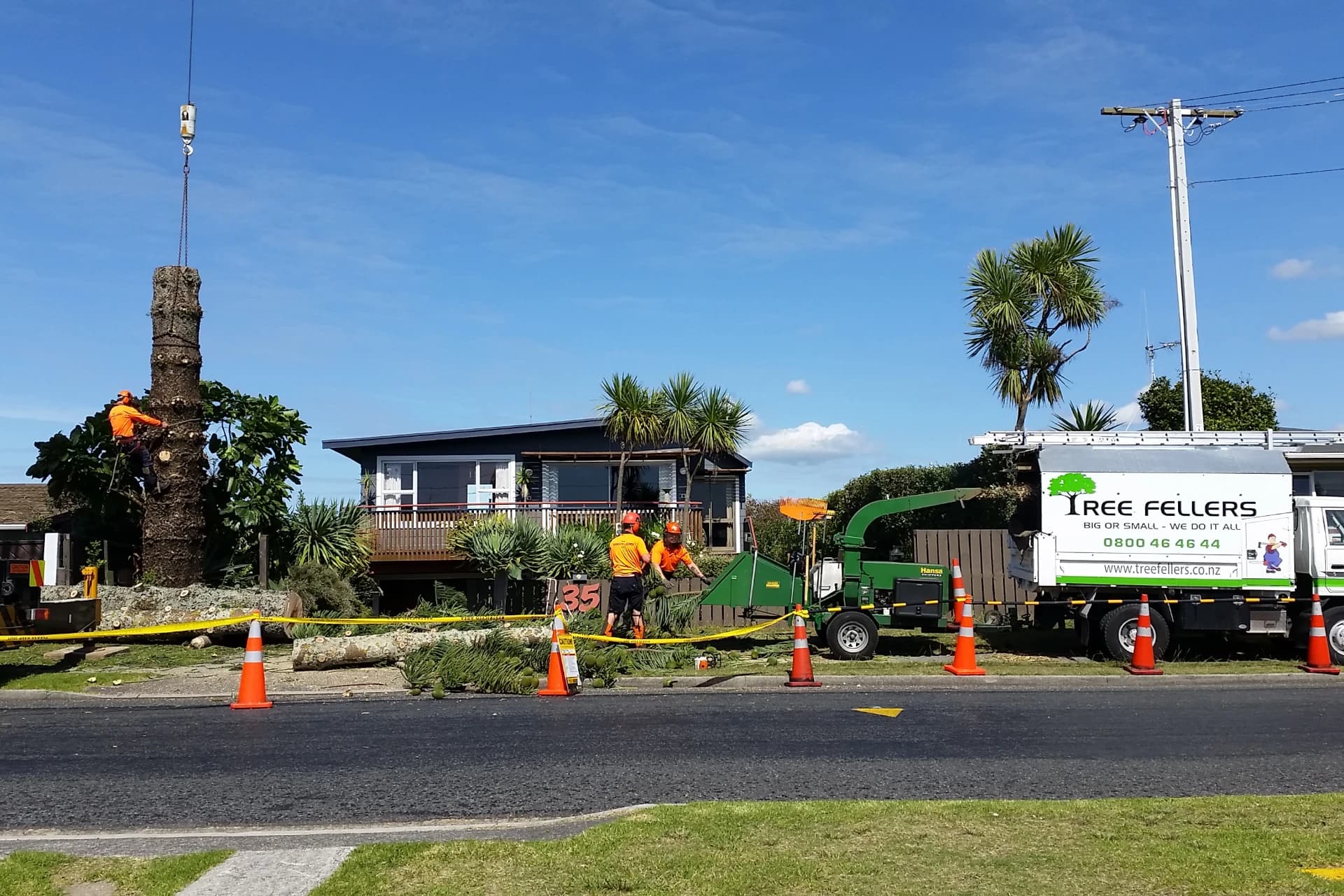 Tree Fellers — Arborist Services in Tauranga