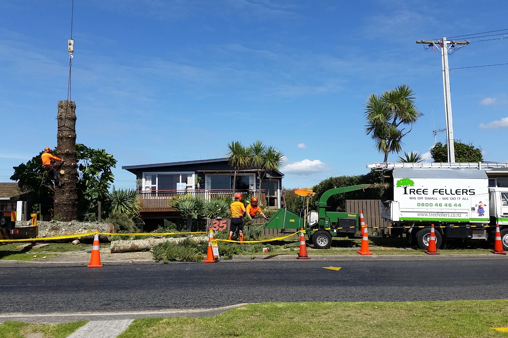 Tree Fellers — Arborists in Tauranga