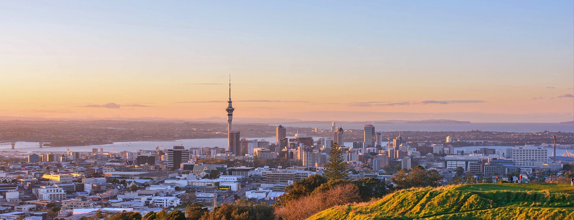 Health Digital — IT Services in Auckland