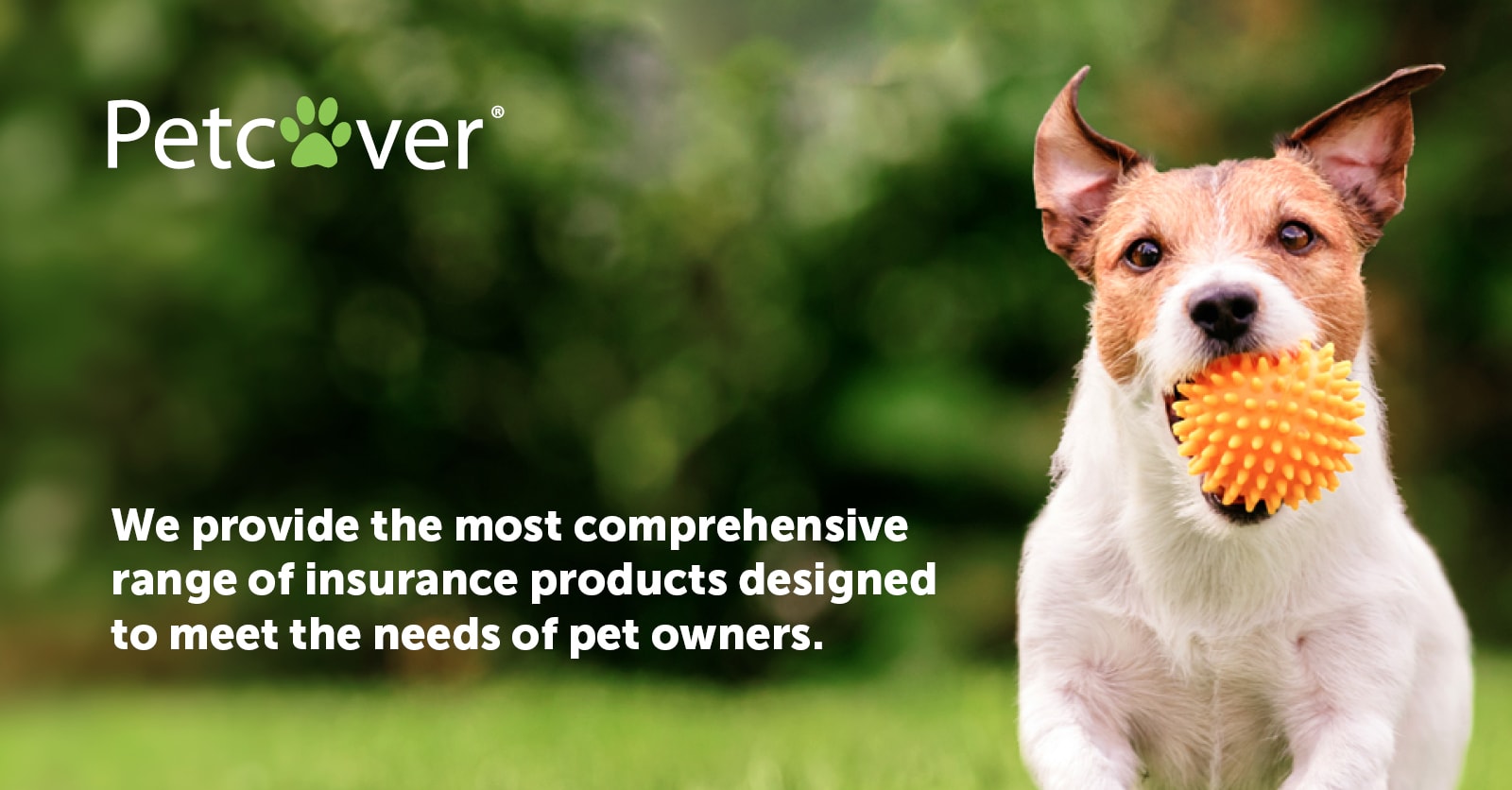 Petcover New Zealand — Insurance Services in Henderson