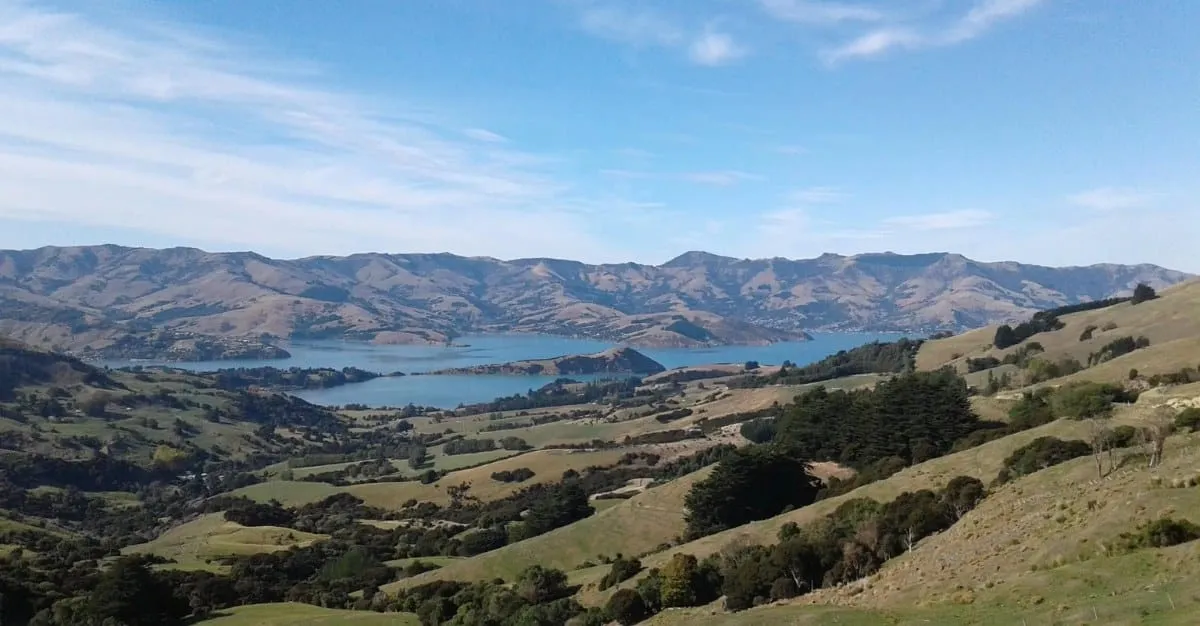 Peak Accounting — Financial Services in Akaroa