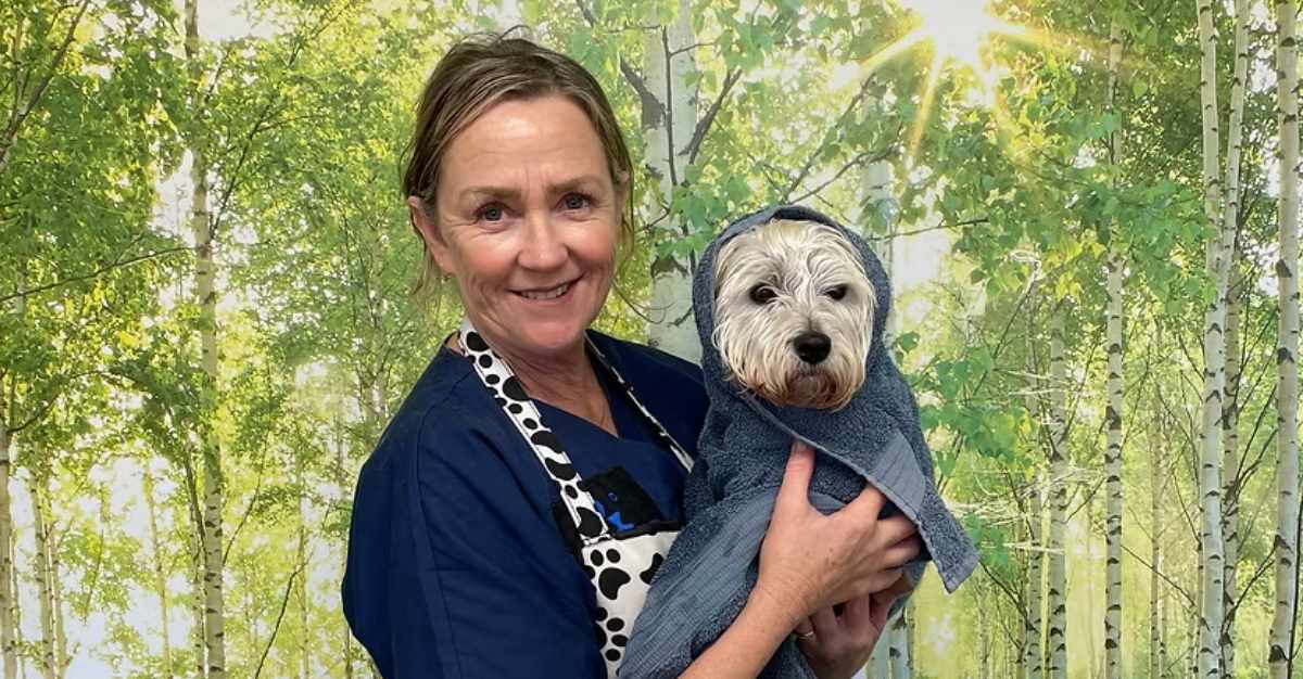 Scruffy to Fluffy — Dog Groomers in New Plymouth