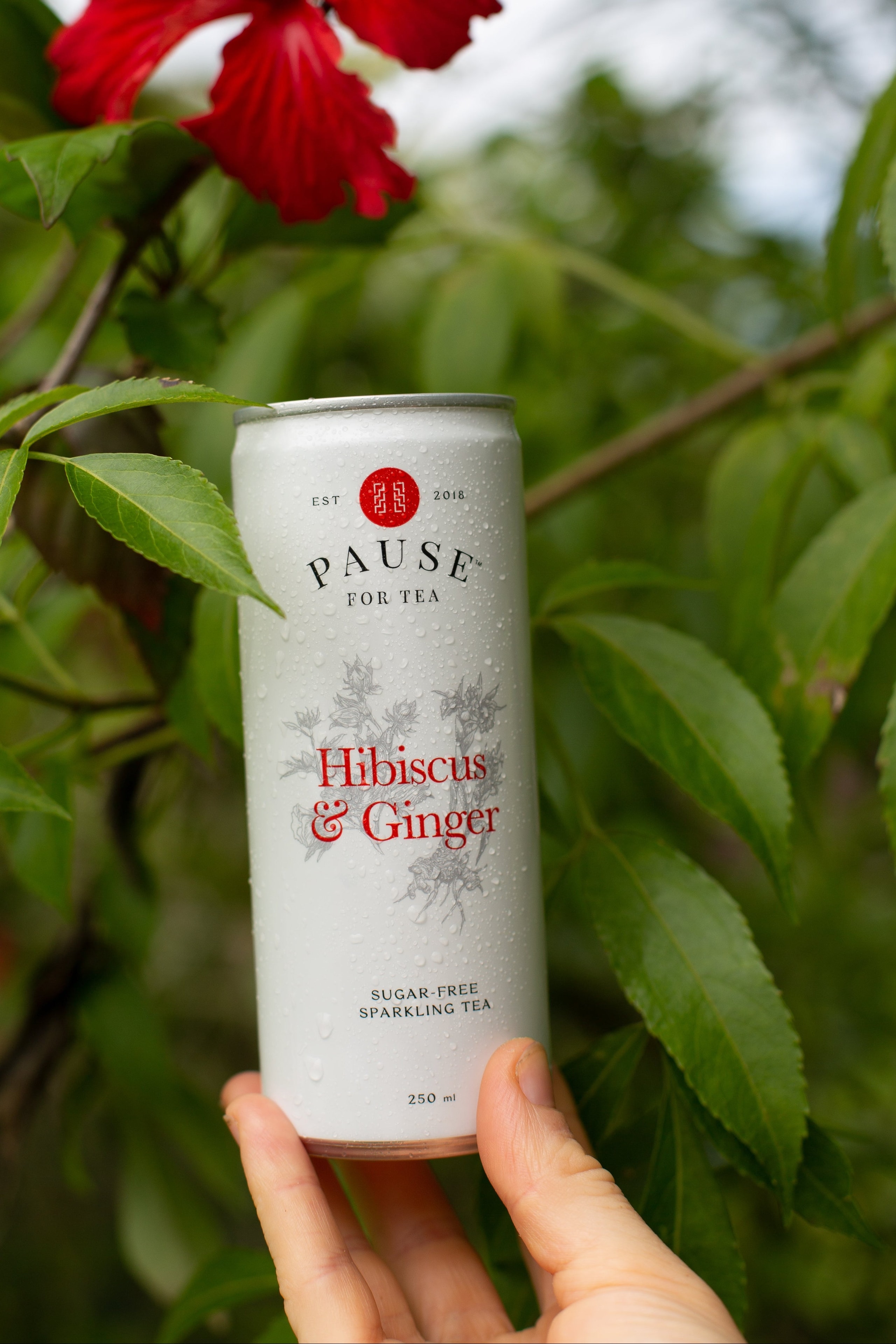 Pause for Tea — Food & Beverage in Waiheke Island