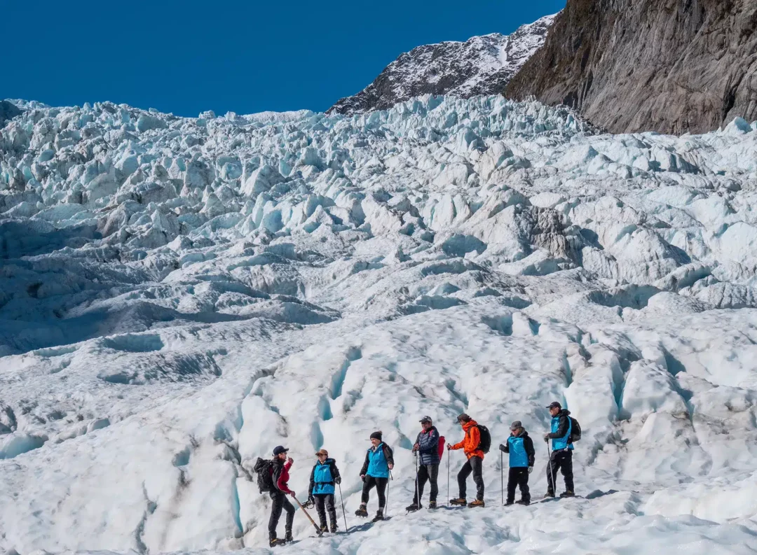 Fox Glacier Guiding — Travel & Tourism in Fox Glacier