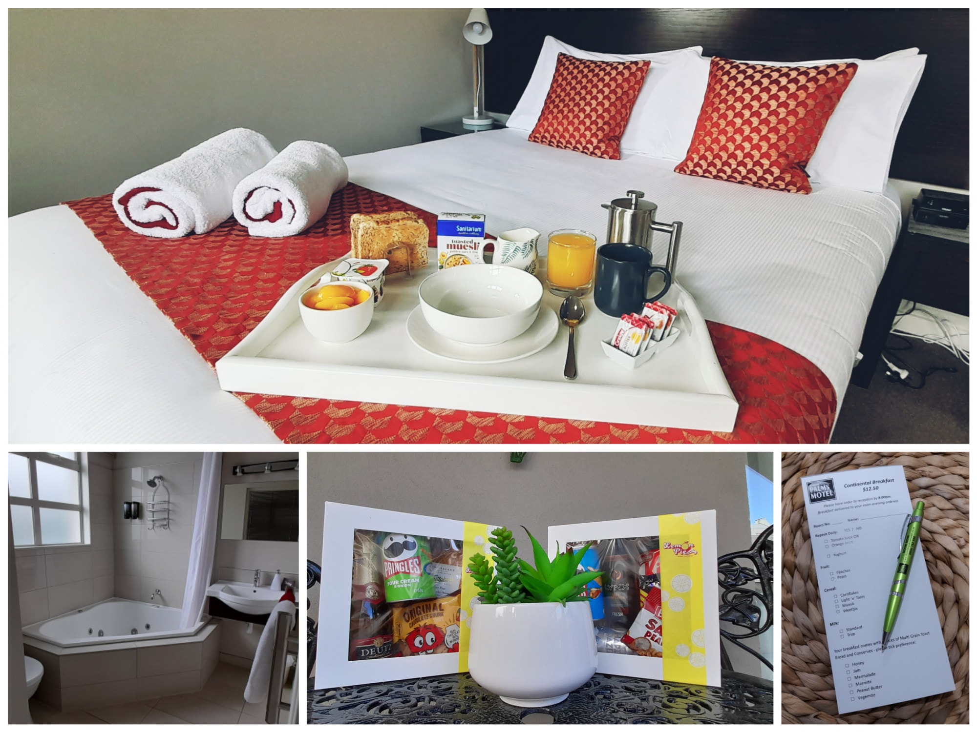 Dunedin Palms Motel — Accommodation in Dunedin