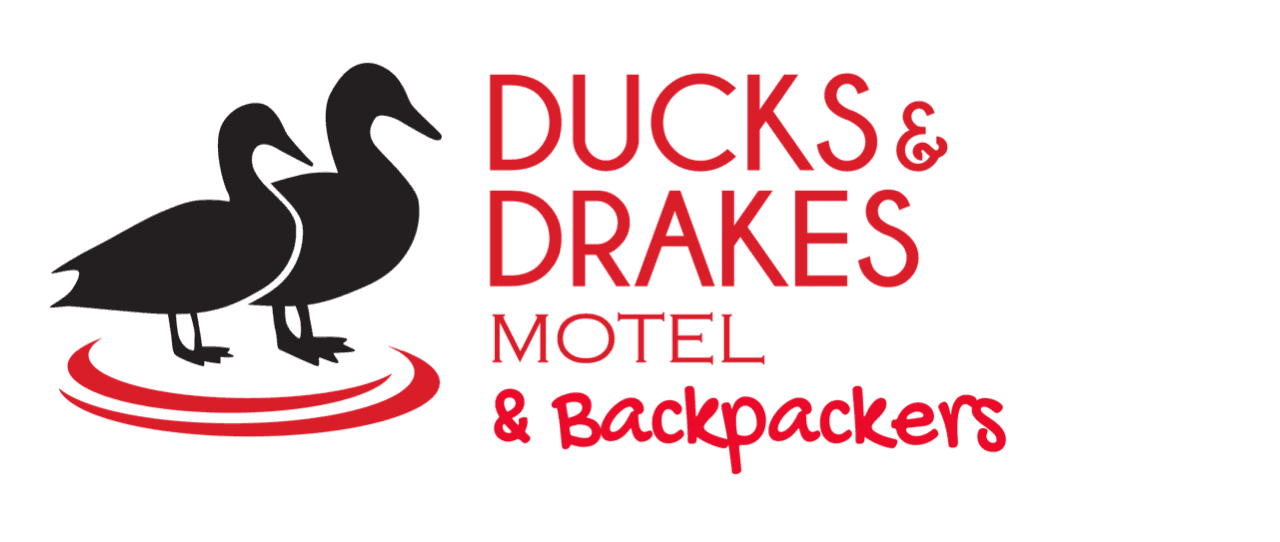 Ducks and Drakes — Accommodation in New Plymouth