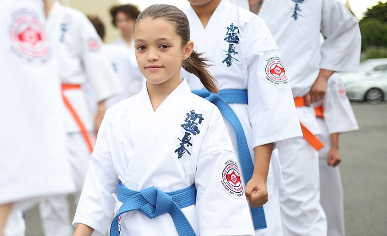 Karate Napier — Gyms in Napier
