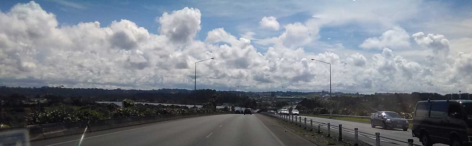 Man with a Van Service — Moving Companies in Tauranga