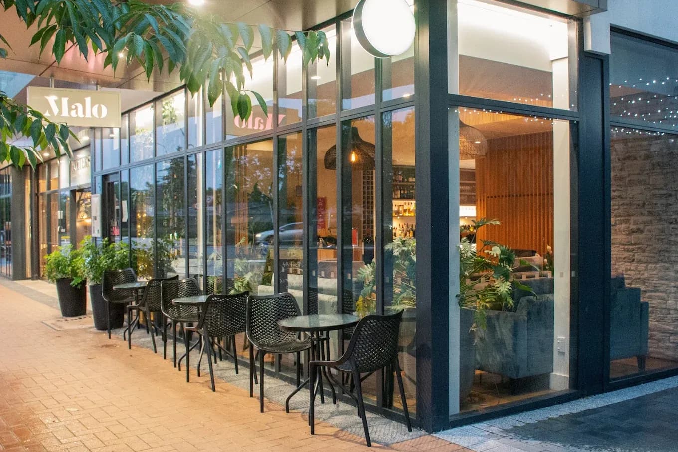 Malo — Restaurants in Havelock North