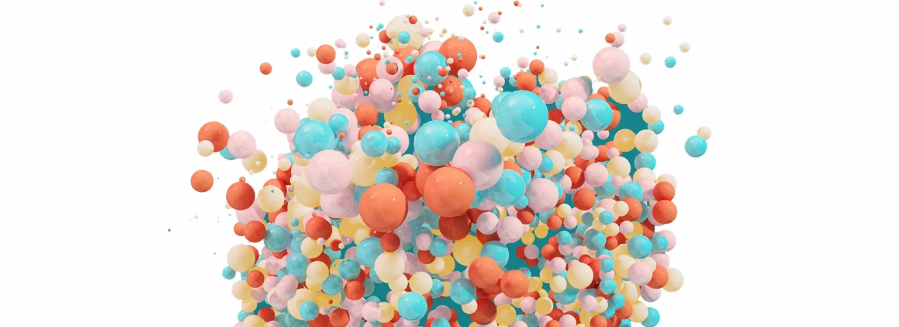 The Custom Bubble — Website Designers in Invercargill