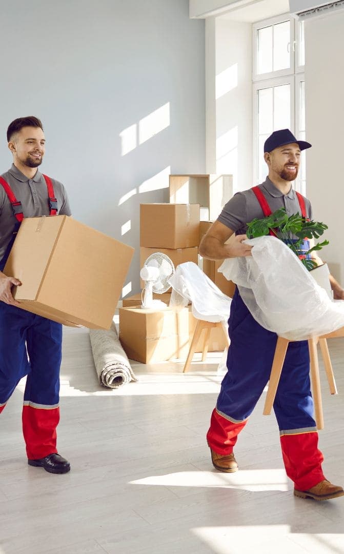 Citytransport — Moving Companies in Feilding