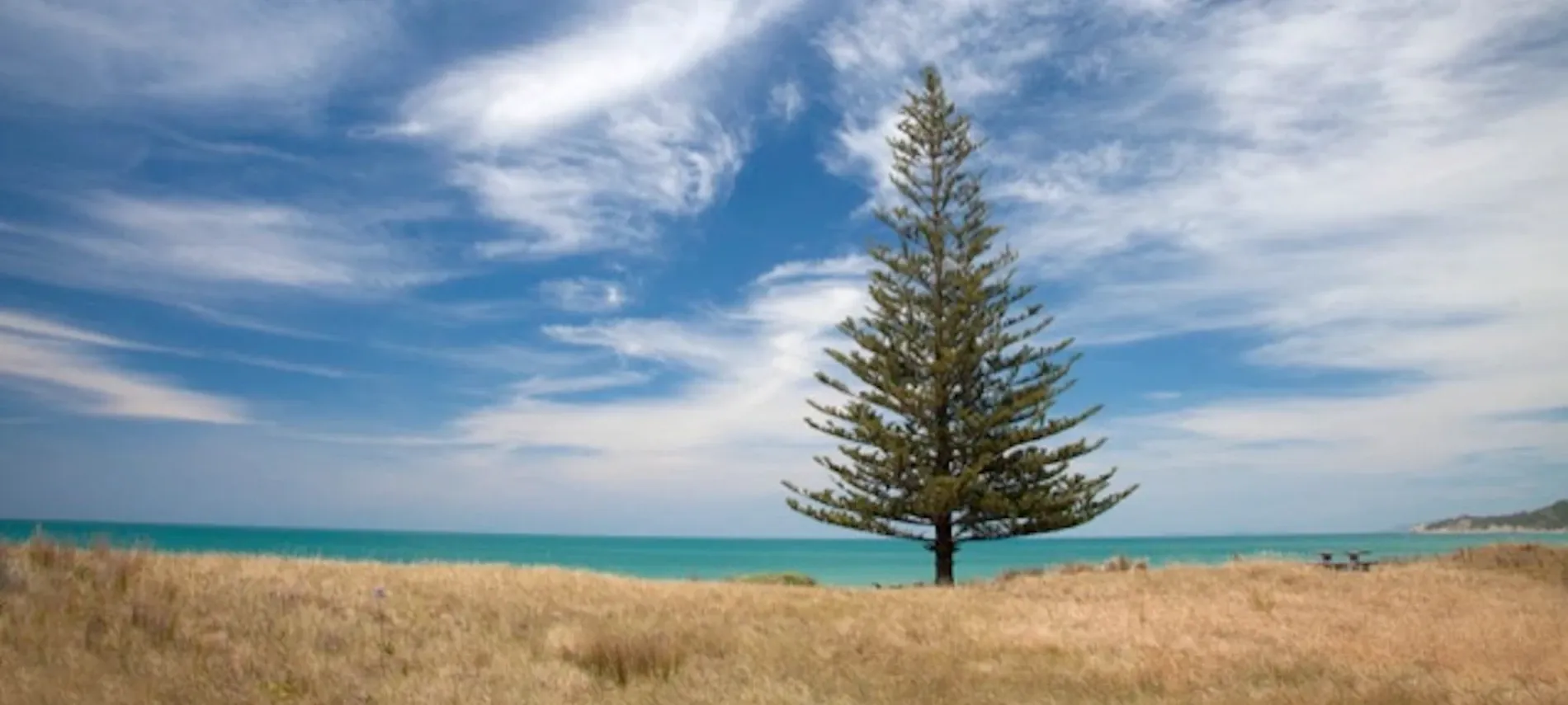 Gray Clapham Design Arts — Graphic Designers in Gisborne