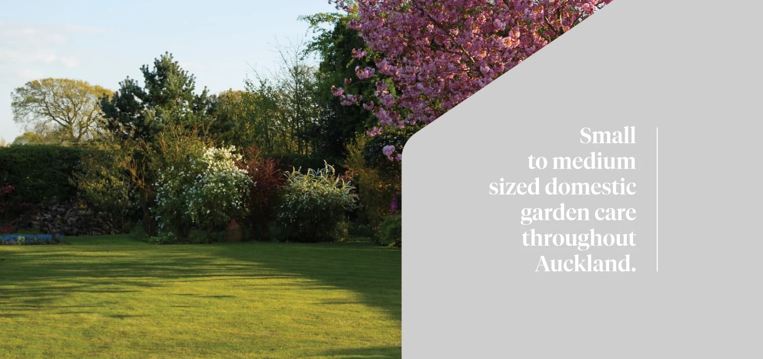 Lawn And Landscape Auckland — Landscaping Services in Pukekohe