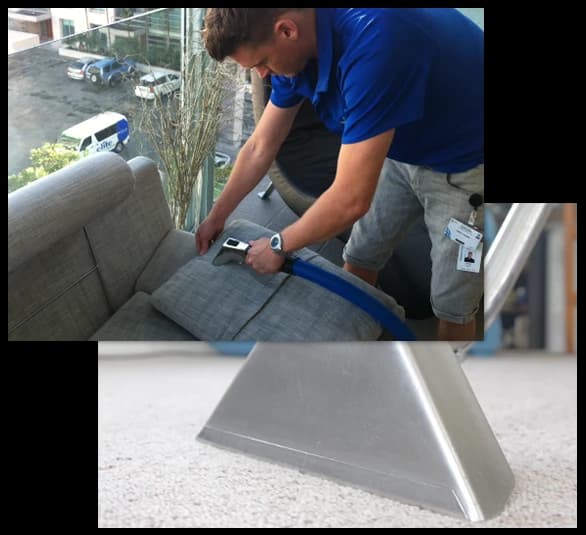 Elite Carpet Cleaning — Cleaning Services in Auckland