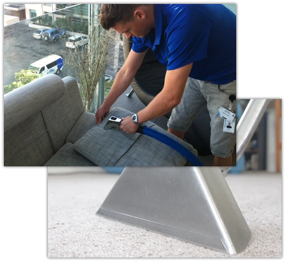 Elite Carpet Cleaning — Cleaning Services in Auckland