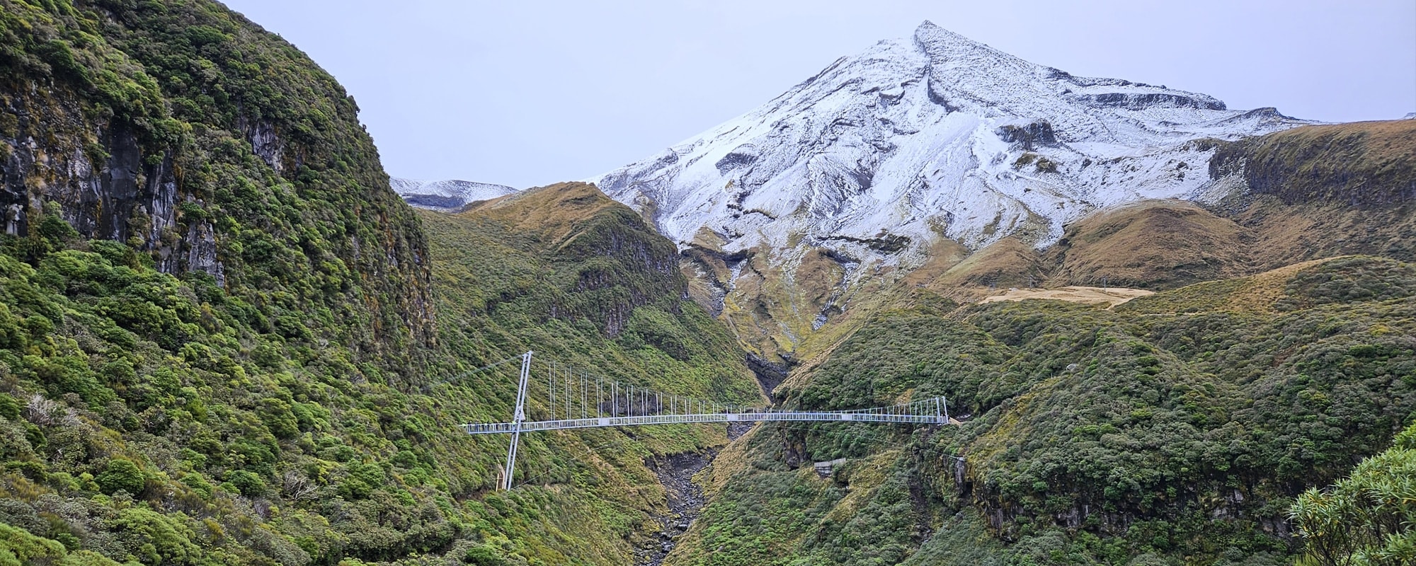 Pace Engineering Limited — Engineering Services in New Plymouth