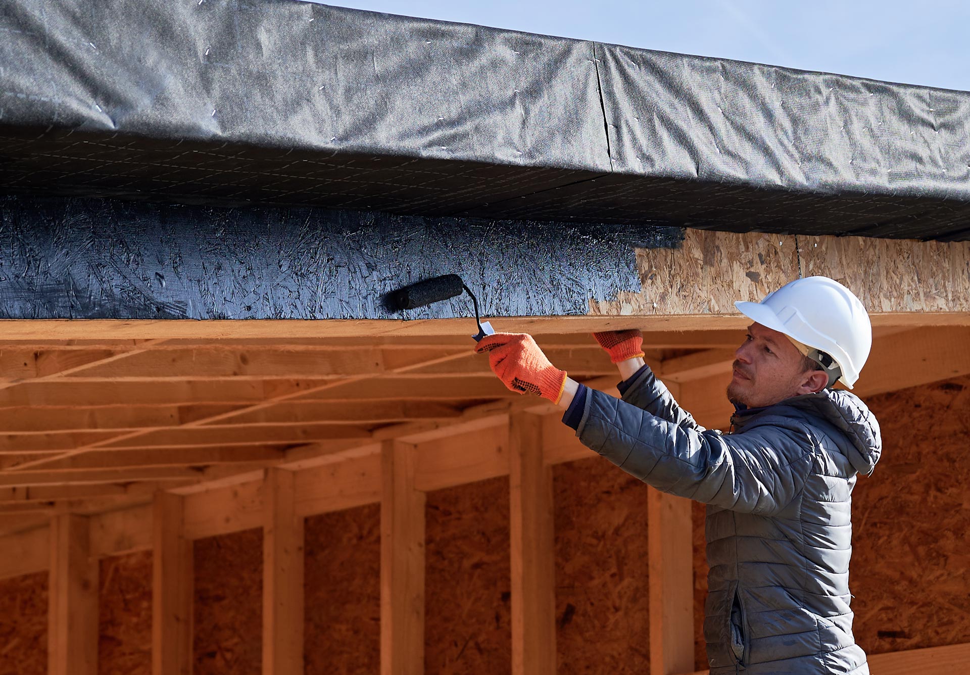 Kauri & Co Hawkes Bay — Construction Companies in Napier