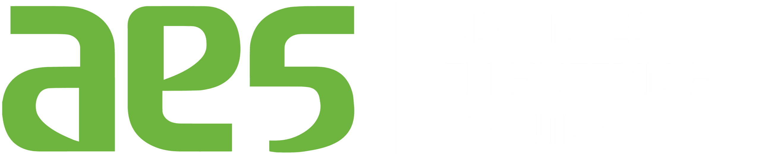 Advanced Engineering Solutions Ltd