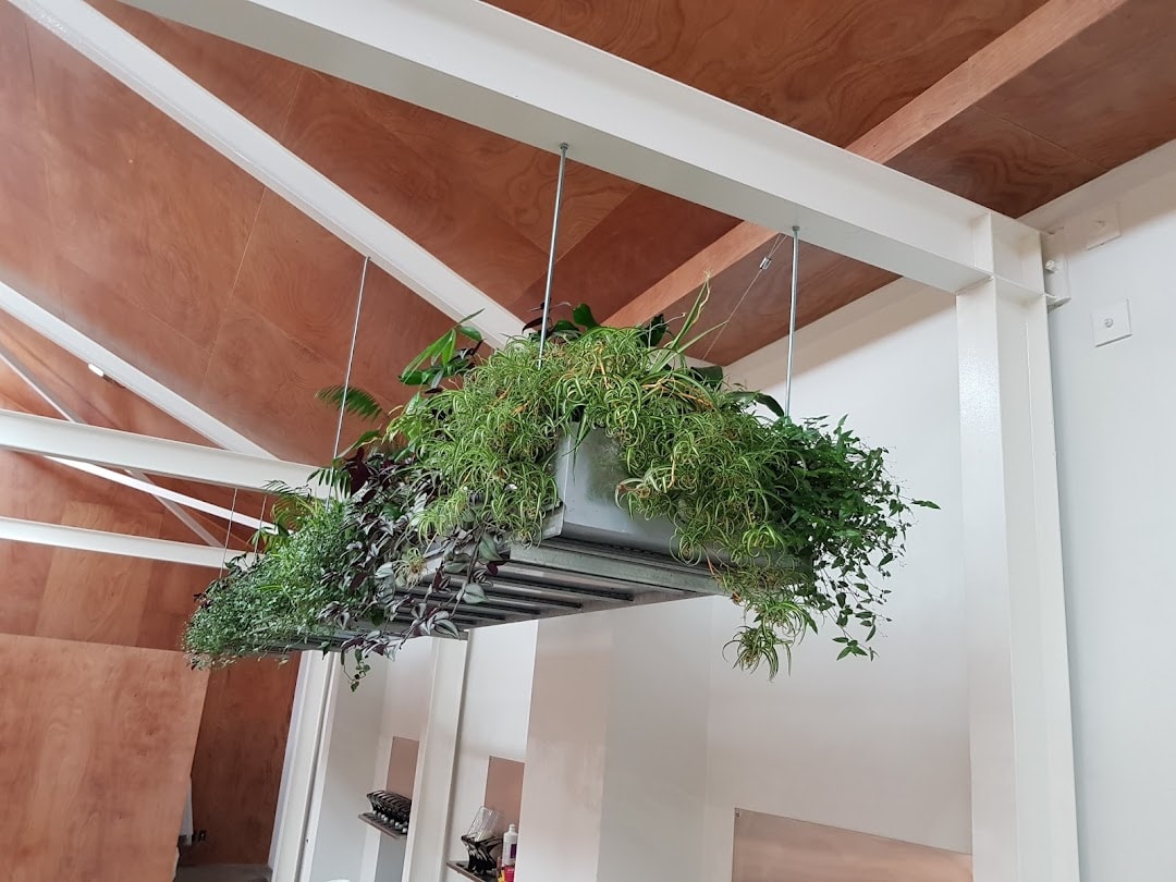 Florax Indoor Plants — Rental Services in Christchurch