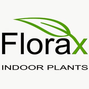 Florax Indoor Plants