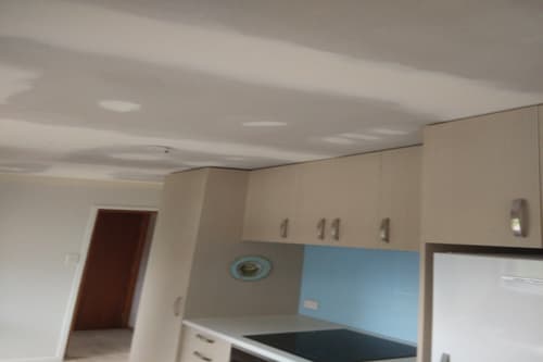 Better Painters — Builders in Whau
