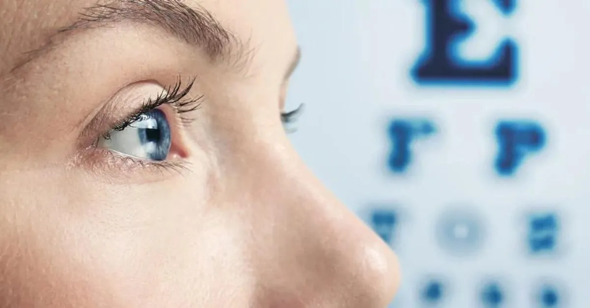 Black Gates Optometrists — Optometrists in Lower Hutt