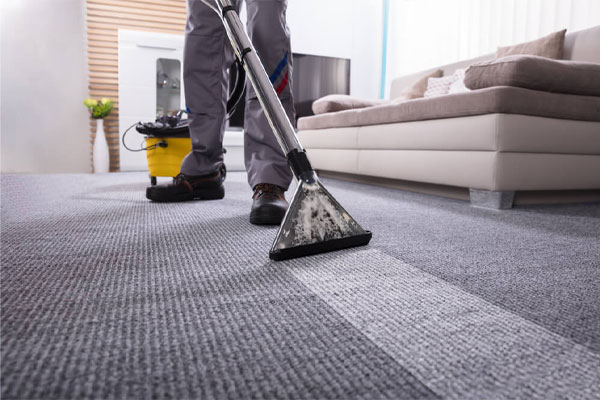 BAY ECO CLEANERS — Commercial Cleaning Services in Tauranga