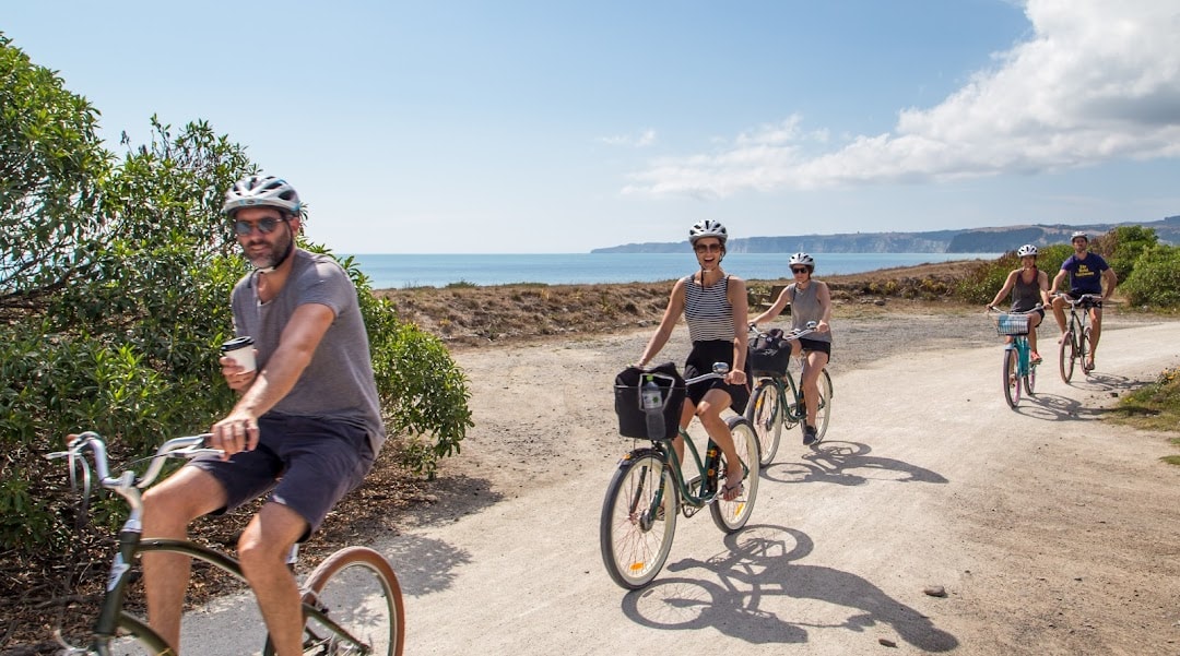 Coastal Wine Cycles — Bicycle Shops in Haumoana