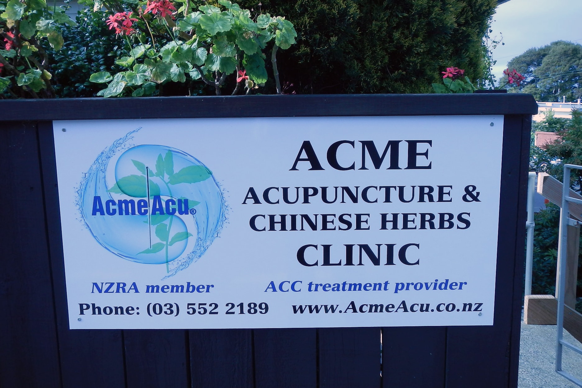 Acme Acupuncture and Chinese Herbs Clinic (Acme Acu) — Acupuncturists in Dunedin