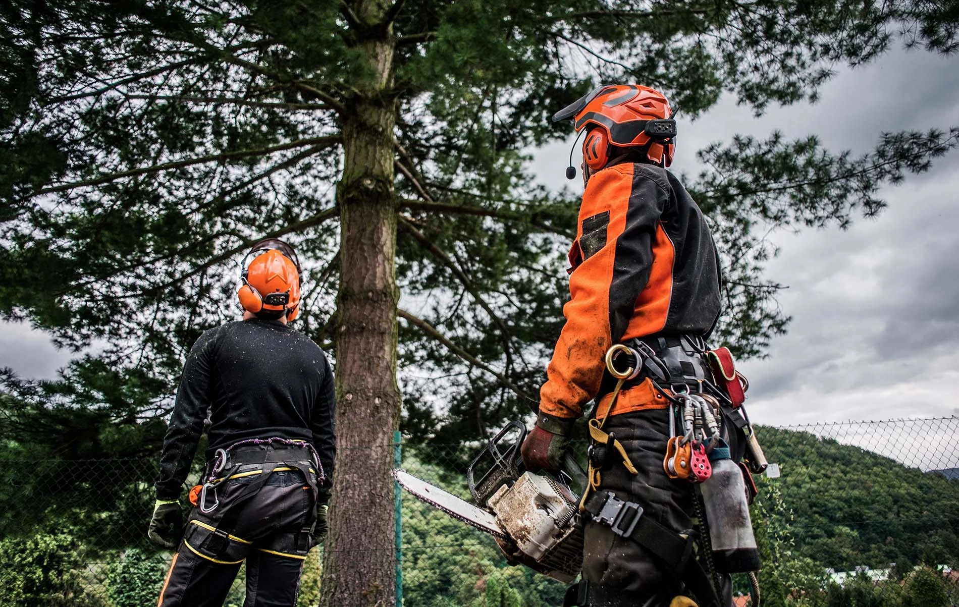 Robinson Tree Services — Arborists in Manawatū-Whanganui