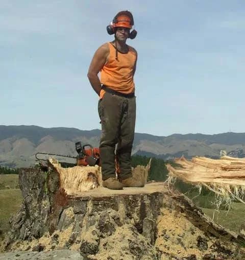 Robinson Tree Services