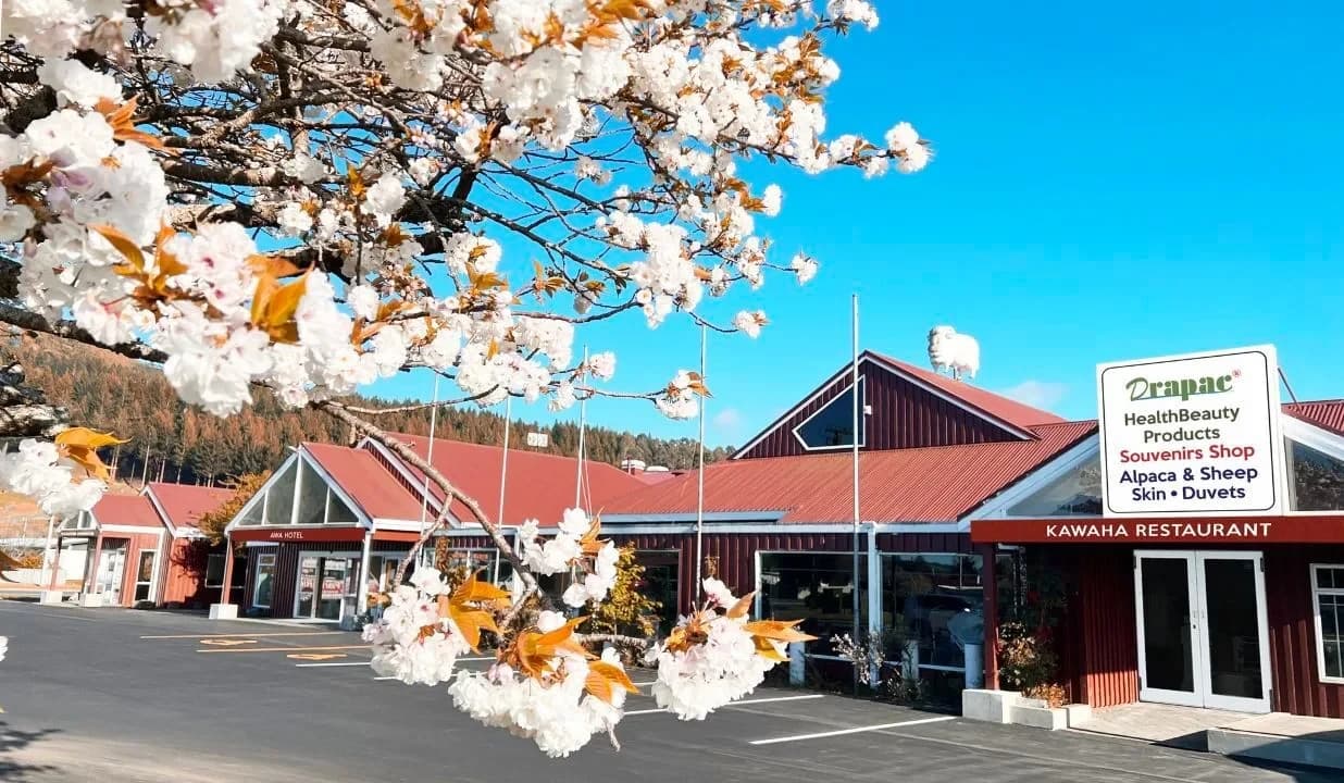 AWA Hotel — Accommodation in Rotorua