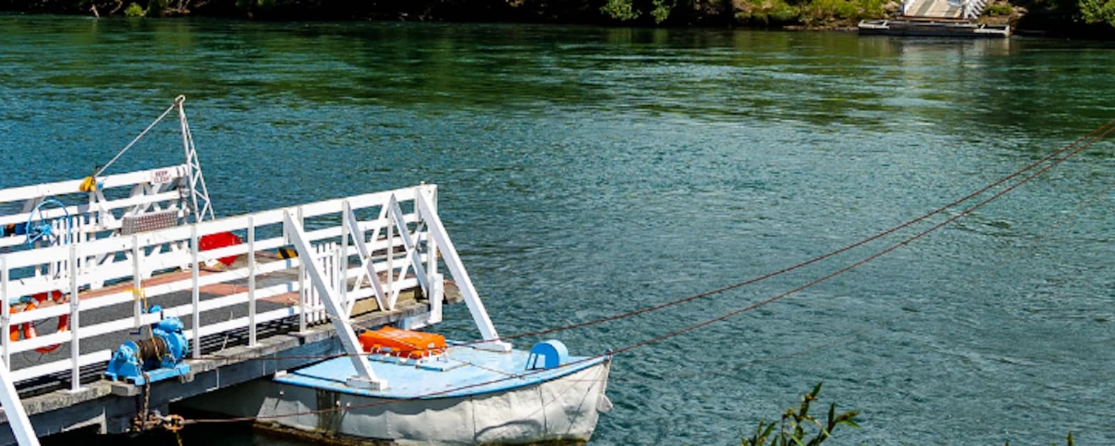 Foleys South Otago