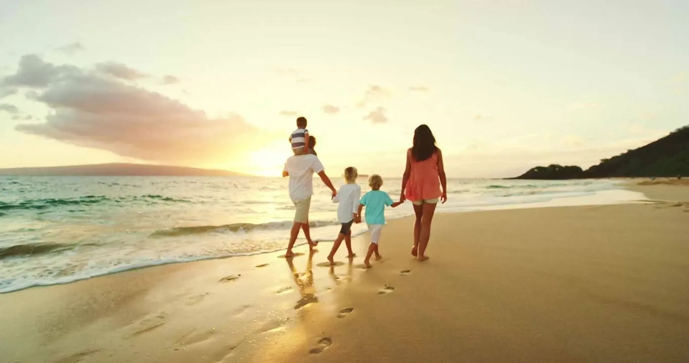 Future New Zealand Immigration — Immigration Consultants in Hamilton