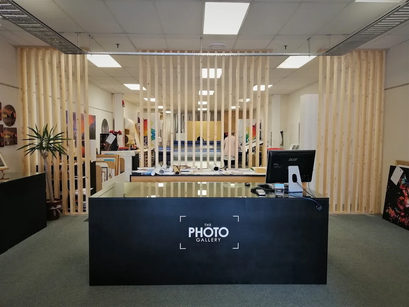 The Photo Gallery — Photographers in Dunedin
