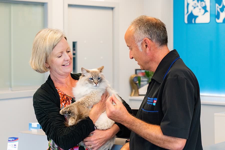Tauranga Vets (BOP Vets) — Vets in Tauranga