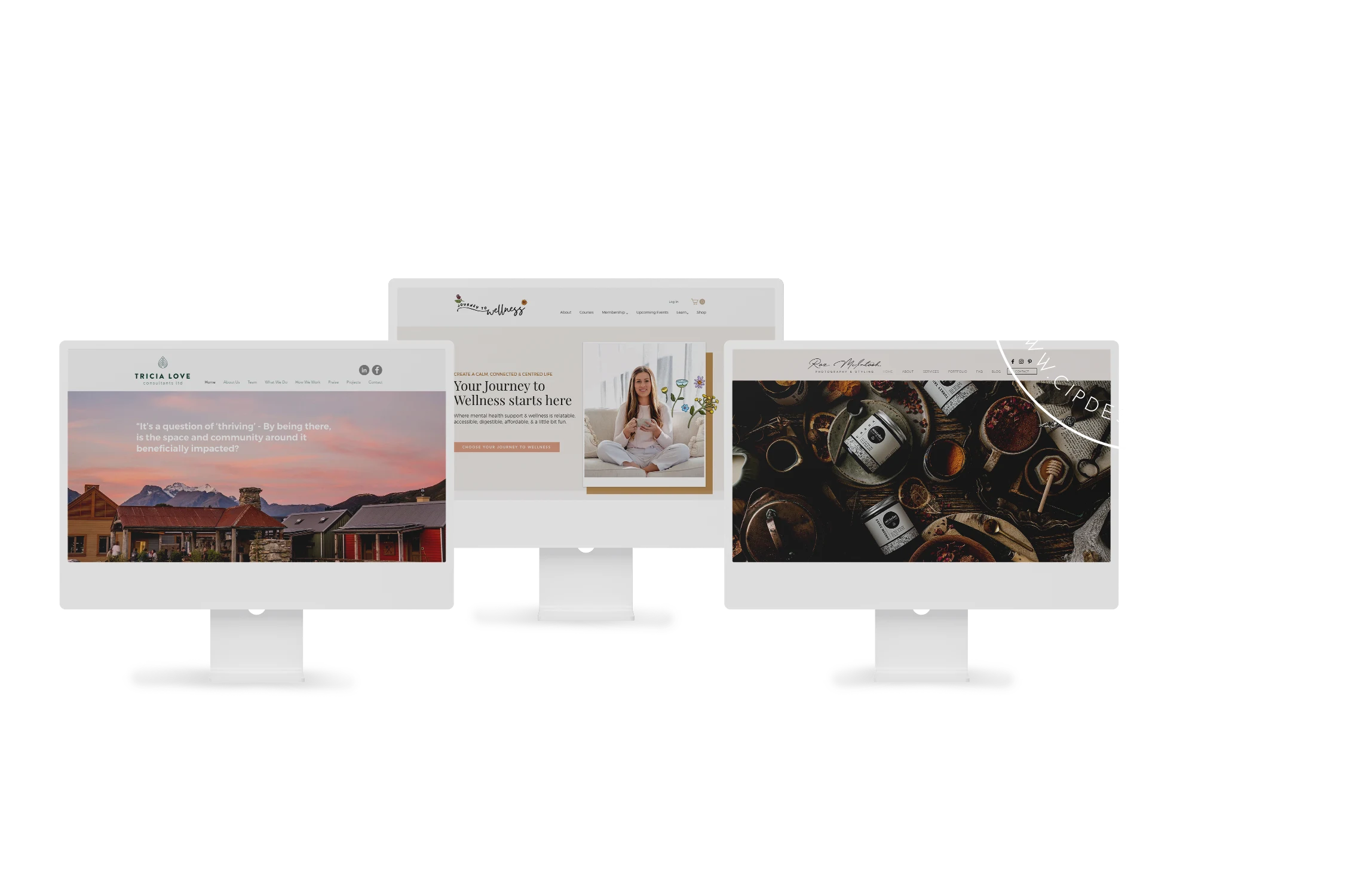 Case In Point (CIP) Design Studio — Website Designers in Tauranga