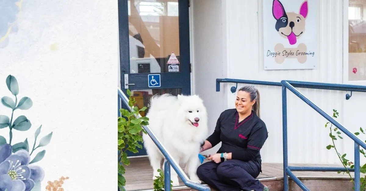 Doggie Stylez Grooming — Dog Groomers in Canterbury