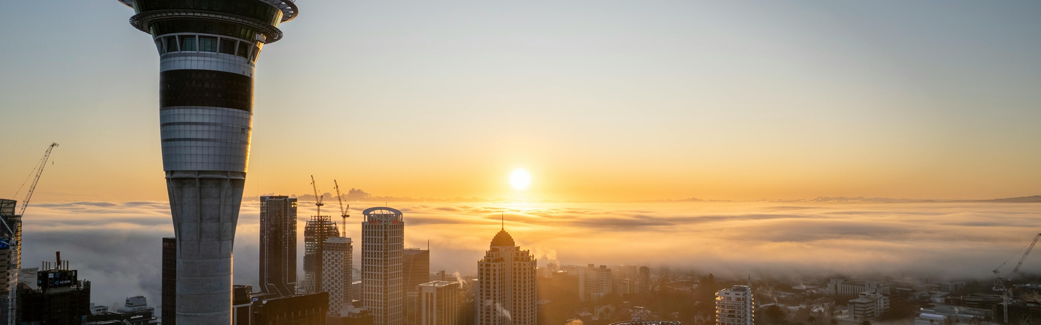 Steindle Williams Legal — Legal Services in Auckland