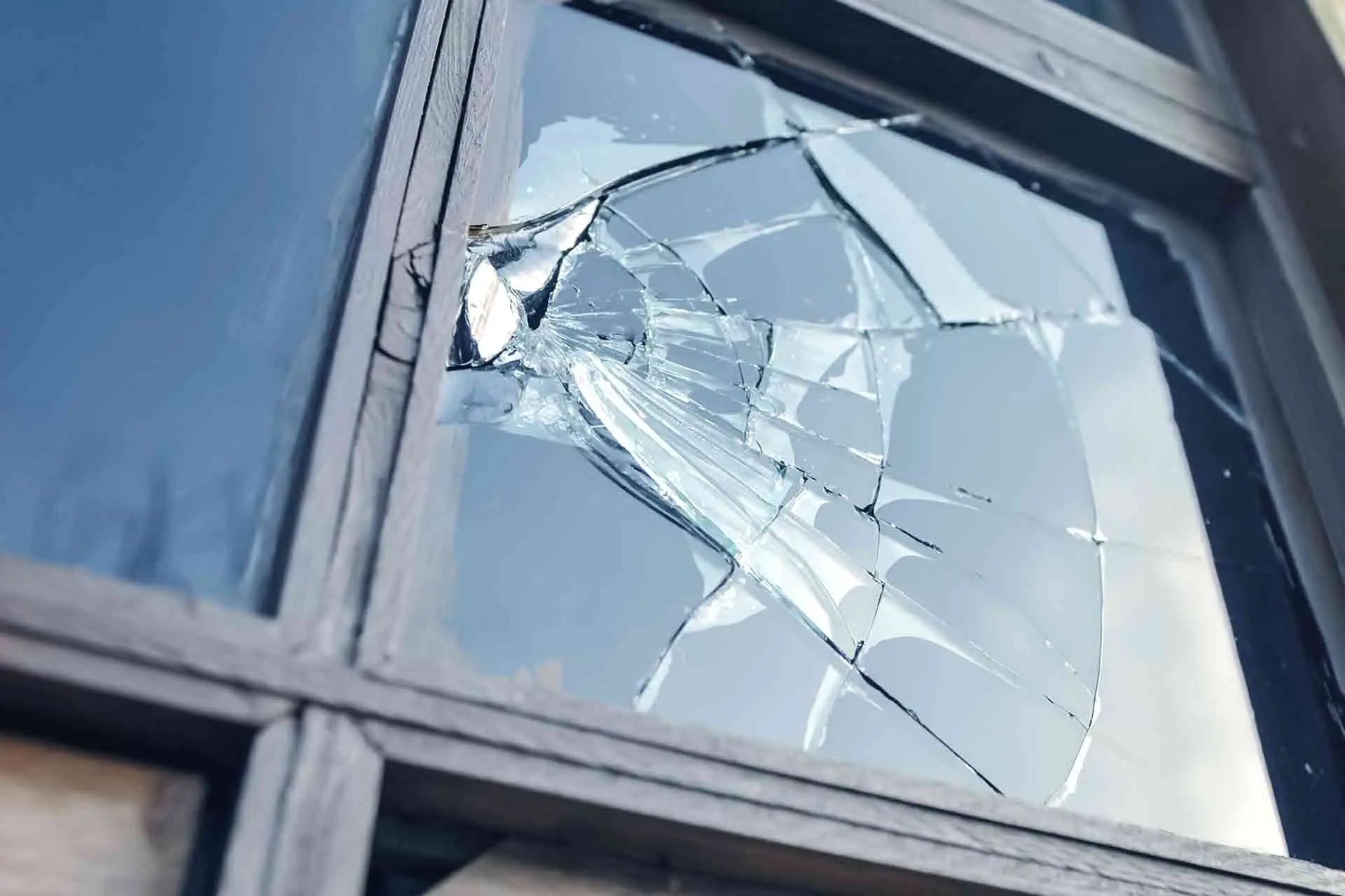 OCR | OnCall Repairs — Professional Services in Tauranga