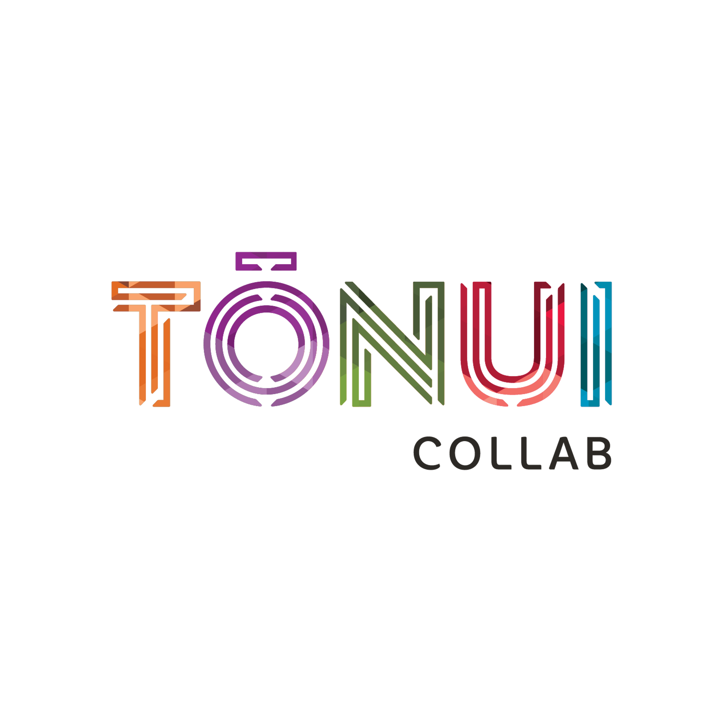 Tōnui Collab — Education & Training in Gisborne