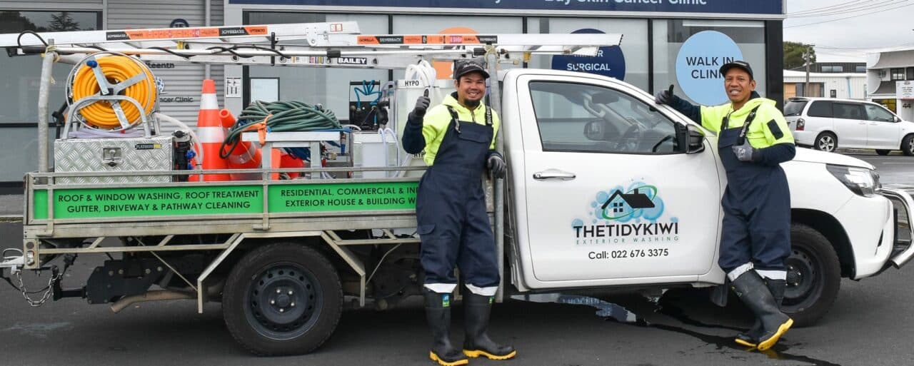 The Tidy Kiwi — Cleaning Services in Hamilton