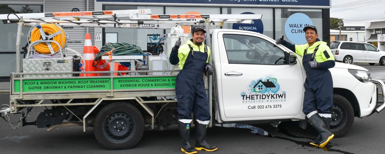 The Tidy Kiwi — Cleaning Services in Hamilton